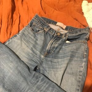 Everlane High Rise Straight Jean